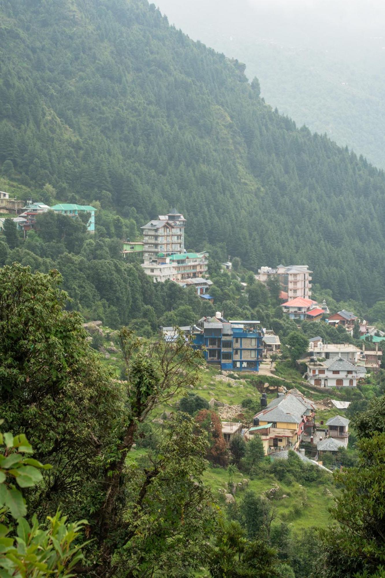 The Unmad - Dharamkot Bed & Breakfast Dharamshala Exterior photo