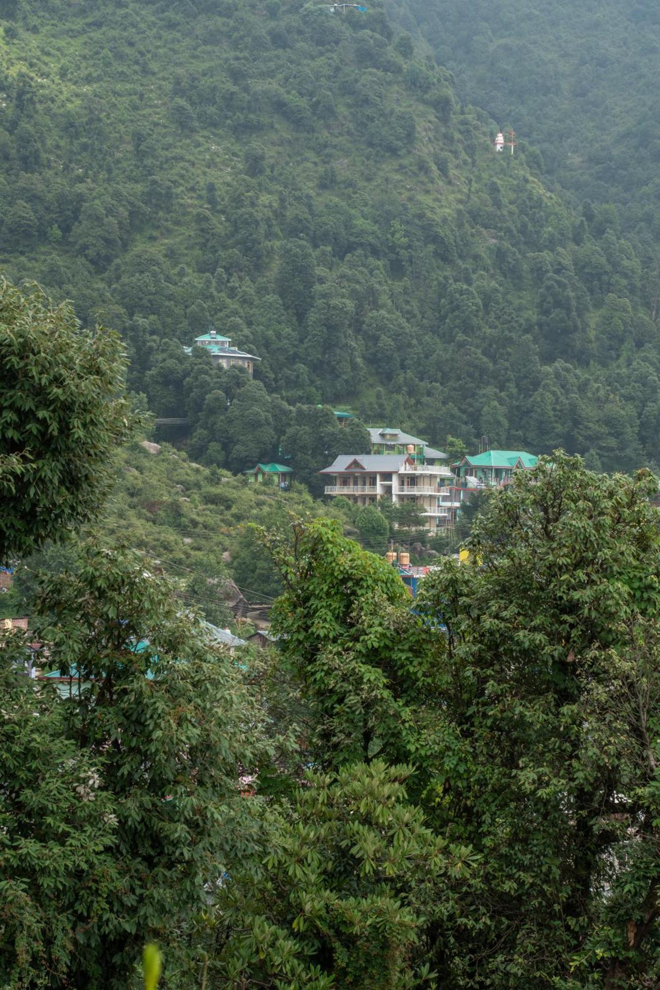 The Unmad - Dharamkot Bed & Breakfast Dharamshala Exterior photo
